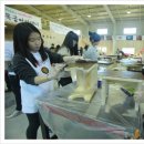 탄현중학교 이미지