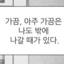 공감애견학교 이미지