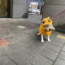 뚜레쥬르첨단쌍암점