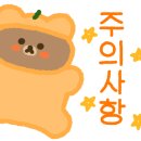 바운스독카페 이미지