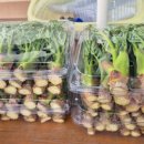 거기농장 이미지