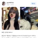 누아르헤어 이미지