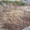 계룡초등학교병설유치원 이미지