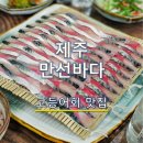 바다 | 제주도 만선바다 후기 | 제주 고등어회 맛집 추천 (+비린내 없는 이유, 시즌 막바지)