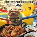 집밥집그리고닭볶음탕 | 담양 애견동반 계곡 맛집 첫집 | 용흥사 백숙 닭볶음탕 찐 맛집