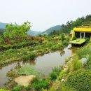 설천면123 티스토리
