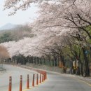 팔공노인복지관 앞 이미지