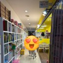 노원 어린이서점 유아책 전권 내돈내산 가격후기(놀라운 자연,베베코알라,도레미곰 등)
