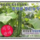 종진농장 네이버블로그