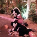 본가두부홍천점 | 광복절🇰🇷 그리고 연휴