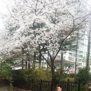 새누리기획 사회적협동조합 이미지