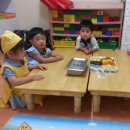 둘둘마리 이미지