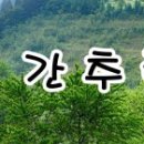 #먹는 치료제 화이자 알약 2만천 명분이 오늘 우리나라에 첫 도입 돼 재택치료를 하는 65살 이상 고령층...