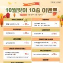 아인셀 이미지