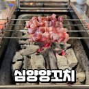 심양냉면 | 심양양꼬치, 인천 부평역 양꼬치 양갈비 술집 맛집 방문 후기