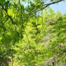 순천시청소년수련원 이미지