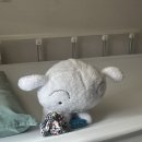 해진유통 | 전대장절제술 리얼 후기요~ 대장 없는 삶, 가능할까요? (수술 결정,이유, 주치의, 입원, 회복, 복강경...
