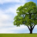 두근두근한의원 이미지