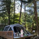 유식물원 | 9월의 유식물원 캠핑장 이용 후기 ~ 임신6개월 캠핑은 힘들어ㅠㅠ