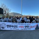 멘토태권도 이미지