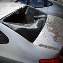 화분인간 이미지