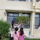 운송초교 이미지