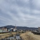 불로장수건강원 네이버블로그