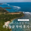 푸른풀밭 | 오키나와 북부 필수코스 스노쿨링 명소 푸른동굴 투어 후기