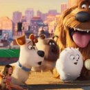 The secret life of pets 2 이미지