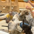 집사의하루 남포점 이미지