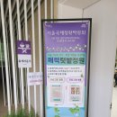 서울국제정원박람회 매력텃밭정원 애플민트 무료화분체험