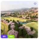 (주)비전회원권거래소