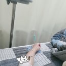 군포 365늘봄메디칼의원 수액 후기