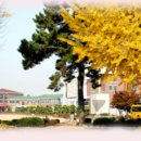 원평보건진료소 이미지