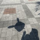 나 사실 ESTP였을지도?