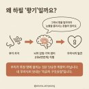 나의 감정상담과 나만의 감정향수 만들기