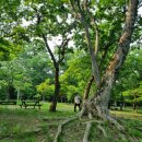 금충한의원 이미지