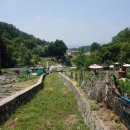 동산근린공원 이미지