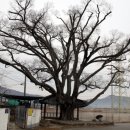 보성벌교주조공사 이미지