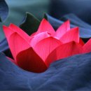 탁구 (중급반) 이미지