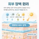 피부관리 3부 비싼 화장품을 사용해도 피부가 좋아지지 않는 이유 이미지