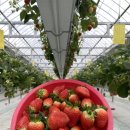 금은농장 이미지