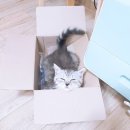 초리농장 이미지