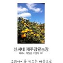 신씨네농장 이미지