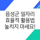 음성세차장 | 음성군 음성읍에서의 일자리 정보 및 활용 방법
