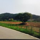산유리캠핑장 이미지