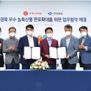 신라오비 이미지