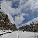 - 폭설이 내린 다음날, 둘이서 눈길을 천천히 거닐며 내려 선 선자령(1,157m) 아래 대관령 하늘목장 설경 그림들! 이미지