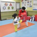 그린 태권도장 이미지