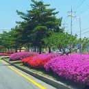 보개우체국앞 이미지